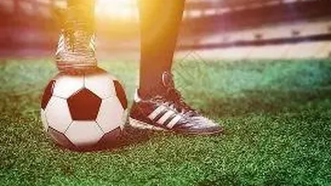 谢娜直播现孕吐疑云，网友热议二胎传闻