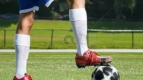 罗杰斯杯赛事延期至明年举办，美网公开赛面临挑战